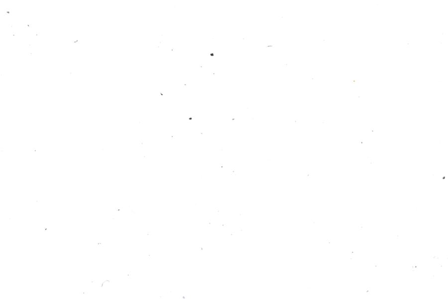 Image 16